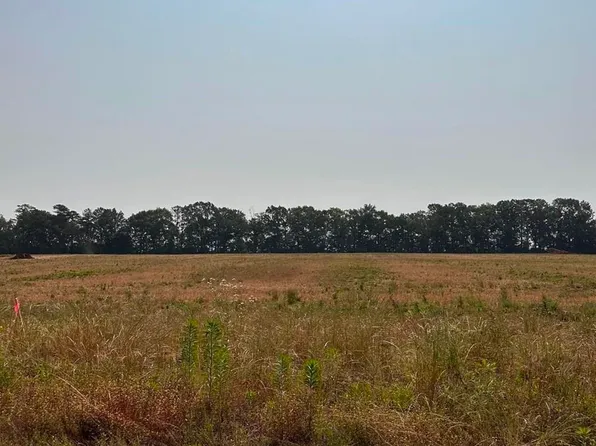 TRACT 61 Hays Mill Rd, Elkmont, AL 35620