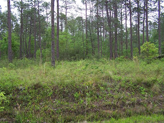 4th image of Lot 39 Drake Road LOT L-39