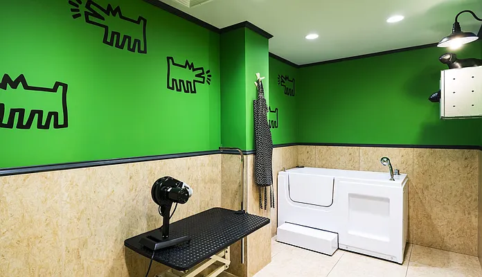 Rented by Halcyon Management Group LLC | media 42