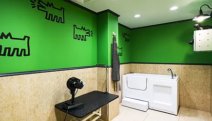 Rented by Halcyon Management Group LLC