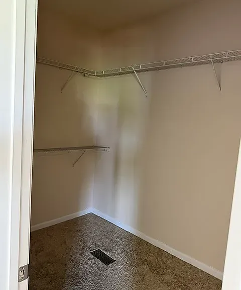 1015 Brightskies St — Photo 20