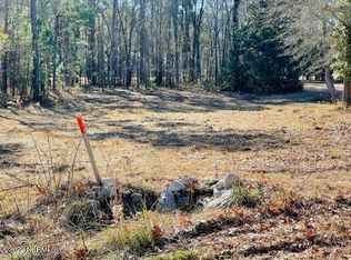 10402 Chestnut Ridge Rd, Bailey, NC 27807