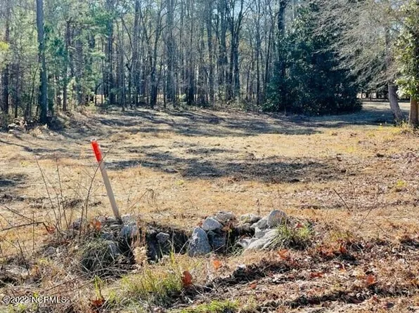 10402 Chestnut Ridge Road, Bailey, NC 27807