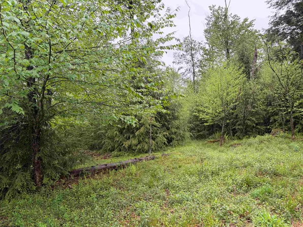 76 Bassilla Way, Davis, WV 26260