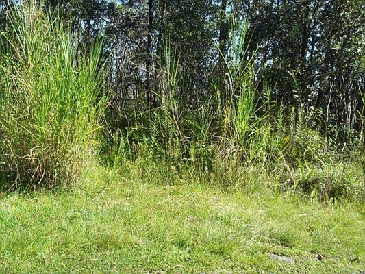 2nd image of Lehua St Lot 6918