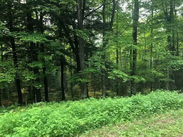 LOT 2 Bear Trl, Presque Isle, WI 54557
