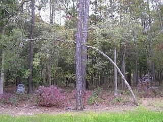 2nd image of 61 Fairway Dr