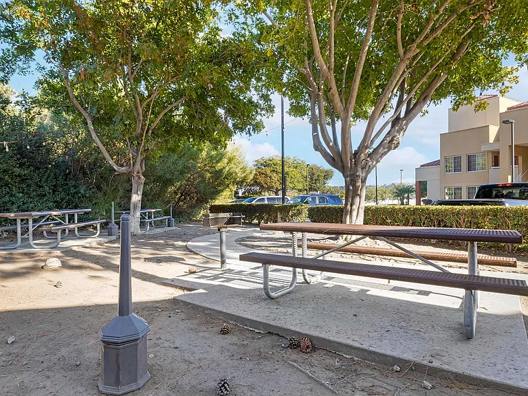 Picnic Area