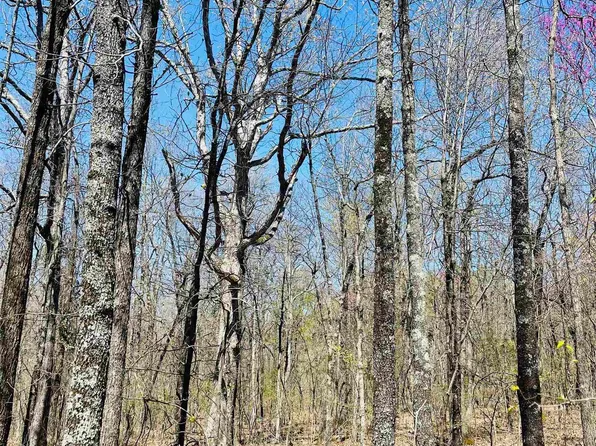 (undisclosed Address), Leslie, AR 72645