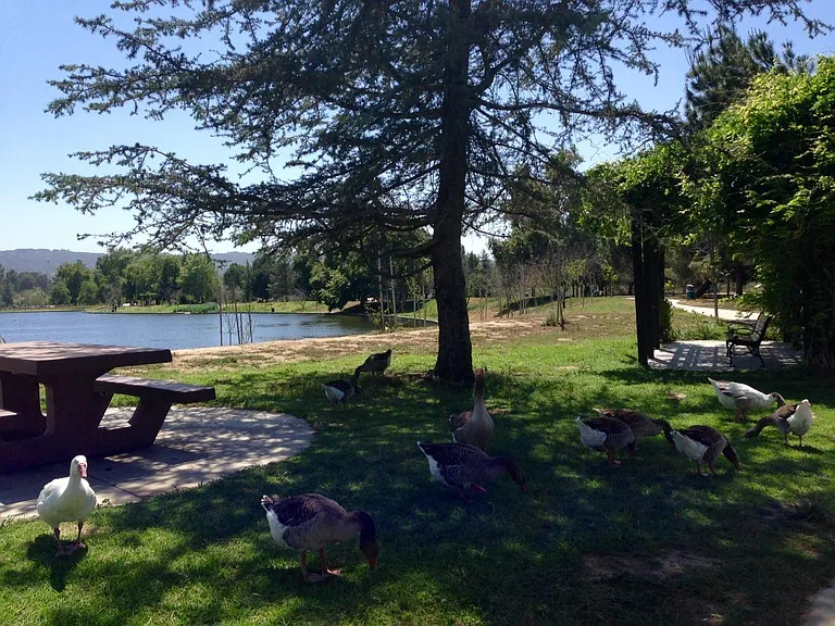 Relaxing And Beautiful Lake Balboa Park Nearby.
Beautiful Nature, Picnic, Ducks, Goose, Birds, Squirrels, Gofers, Fishing, Walking, Running, Bicycle Riding, And Boating