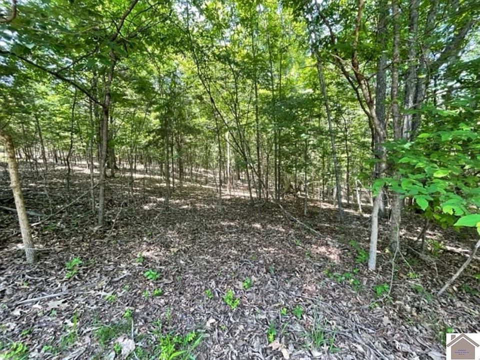 1st image of LOT 49 Malcolms Point Rd