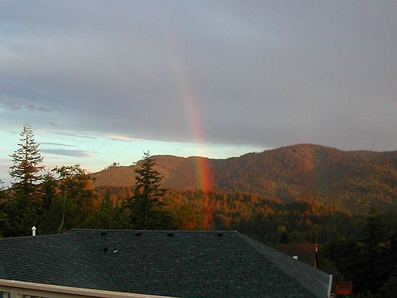 View from deck
