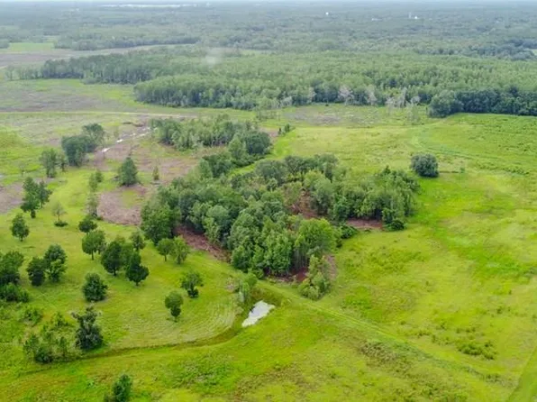 0 SE County Road 355, Mayo, FL 32066