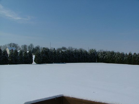 Natural privacy fence