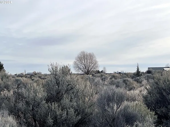 Buckskin Rd #300, Christmas Valley, OR 97641