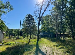 10130 N Brooks Rd, Irons, MI 49644