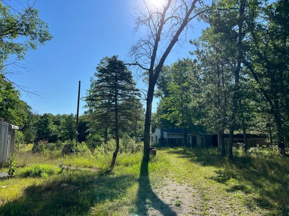 10130 N Brooks Rd, Irons, MI 49644