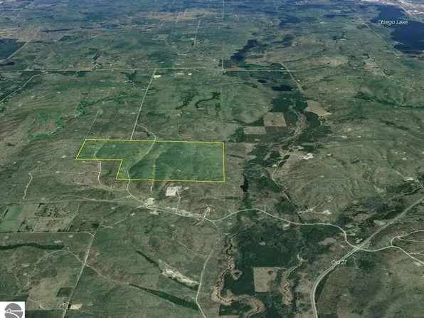 0 W Mount Frederic Rd, Frederic, MI 49733