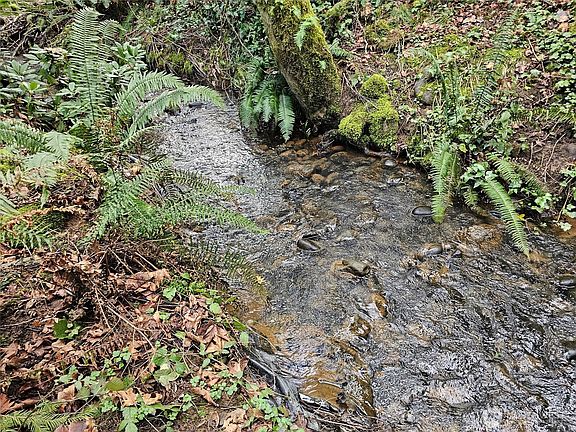 4th image of 3017 Graf Road