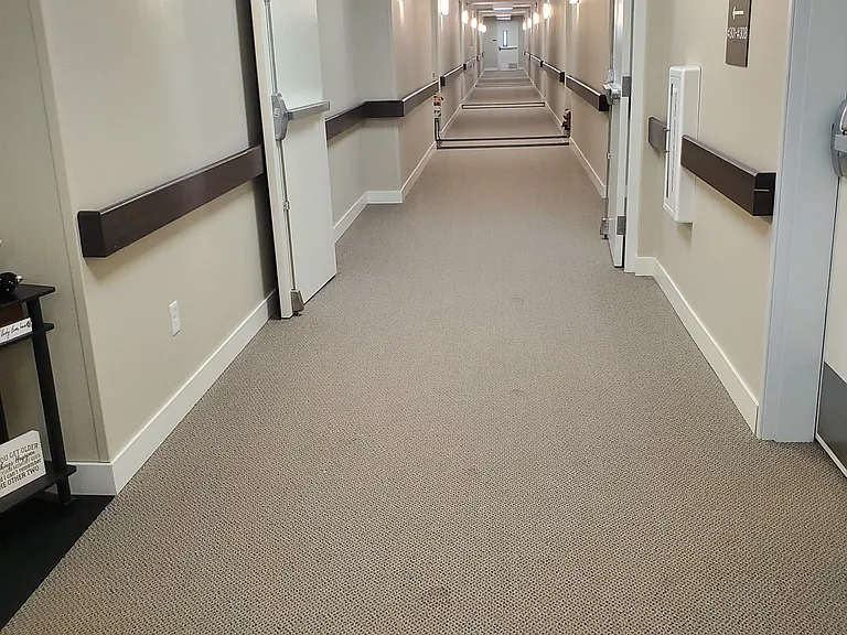Century Cottages — Photo 3