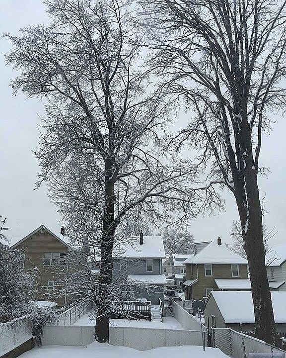 2nd image of 536 Rutherford Ave