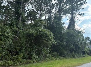 17 Uhlerwood Ct Lot 70, Palm Coast, FL 32164