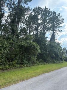 17 UHLERWOOD COURT LOT 0070, Palm Coast, FL, 32164