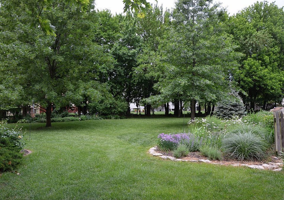 back yard