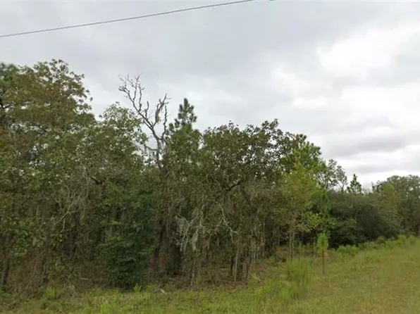 NE 151st Ter Lot 8, Williston, FL 32696