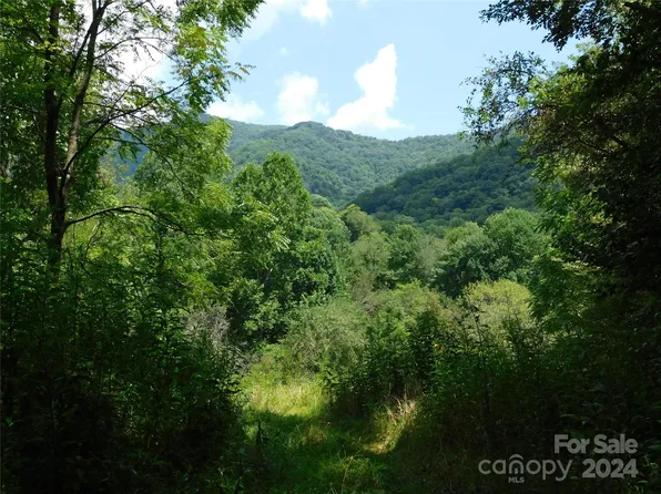 1299-1011 Young Cove Rd, Bakersville, NC 28705