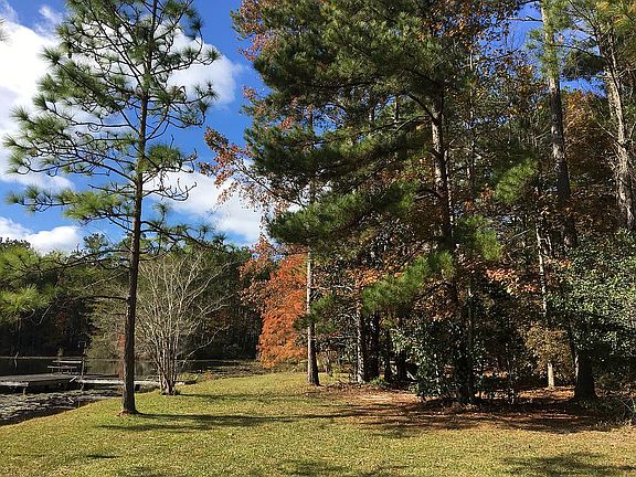 3rd image of 317 Feathergrass Ln
