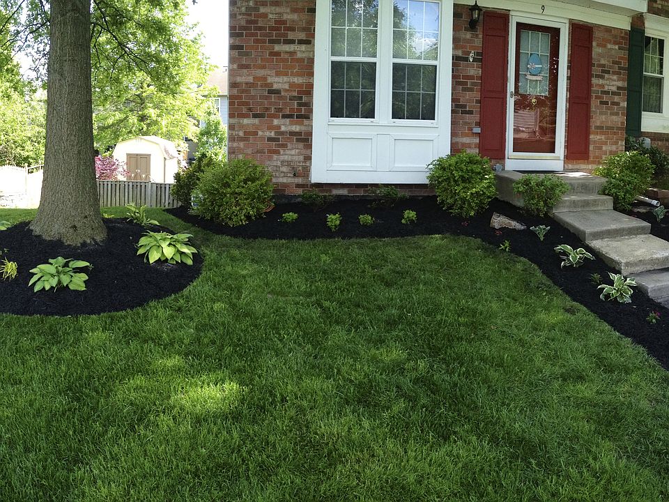 New landscaping large yard