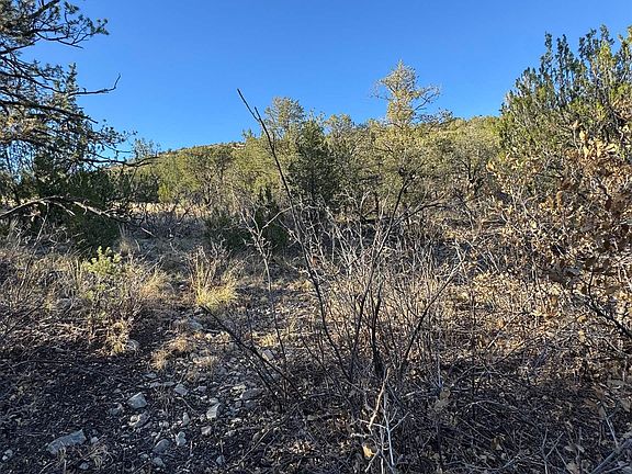 4th image of 80 Longfellow Rd