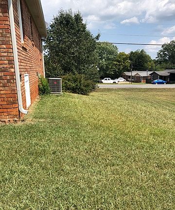 back yard