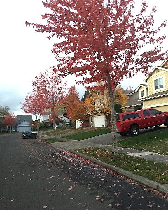2nd image of 4108 Seville Dr SE