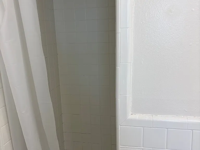 1411 E 3rd Ave #6 — Photo 6