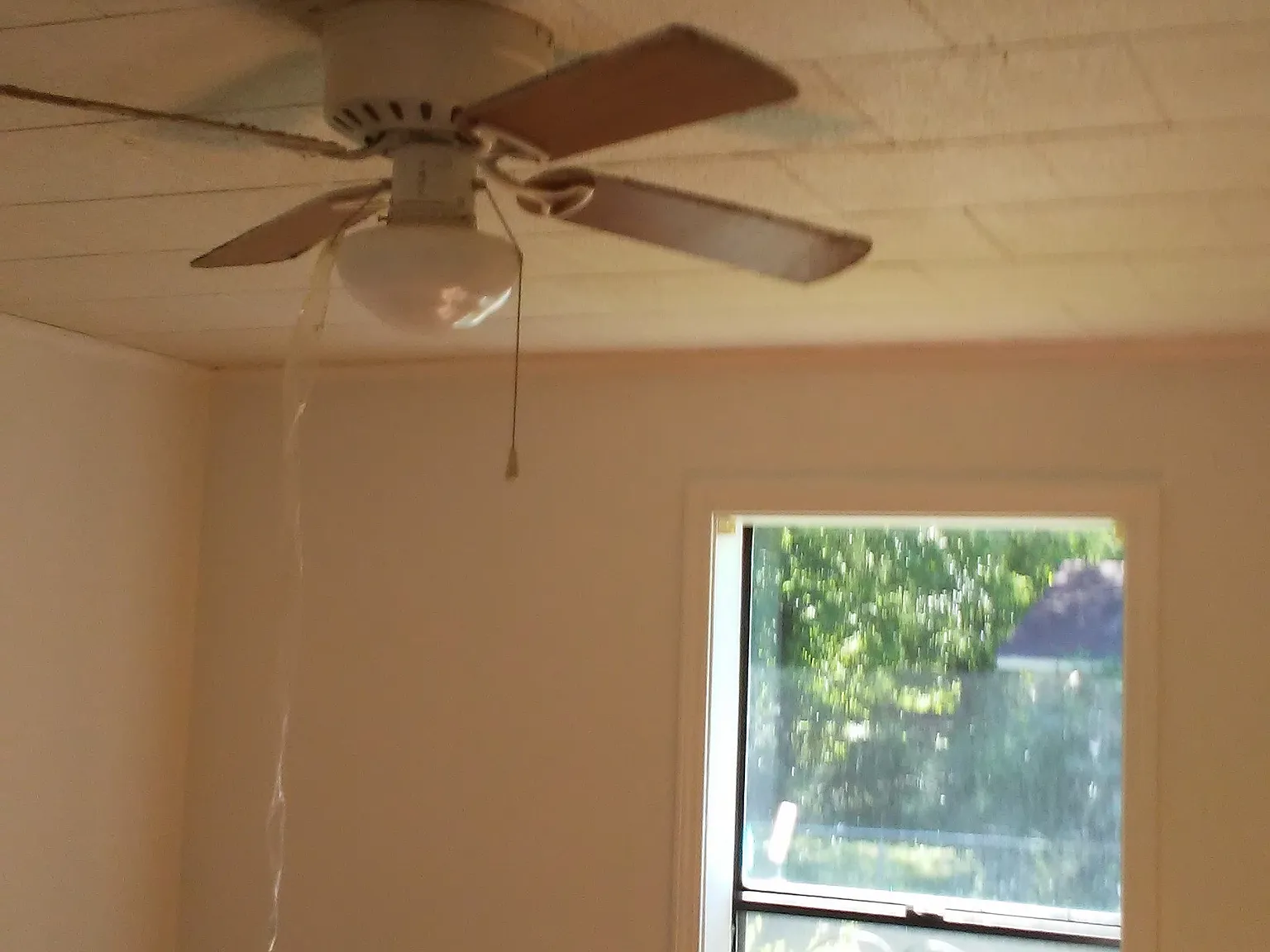 3 bed, 1300 sqft, $950 — Photo 4