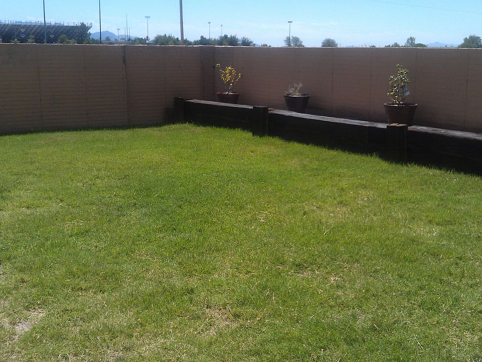 Lawn
