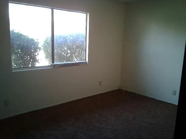 2 bed, 1.5 bath, $1,450 — Photo 3