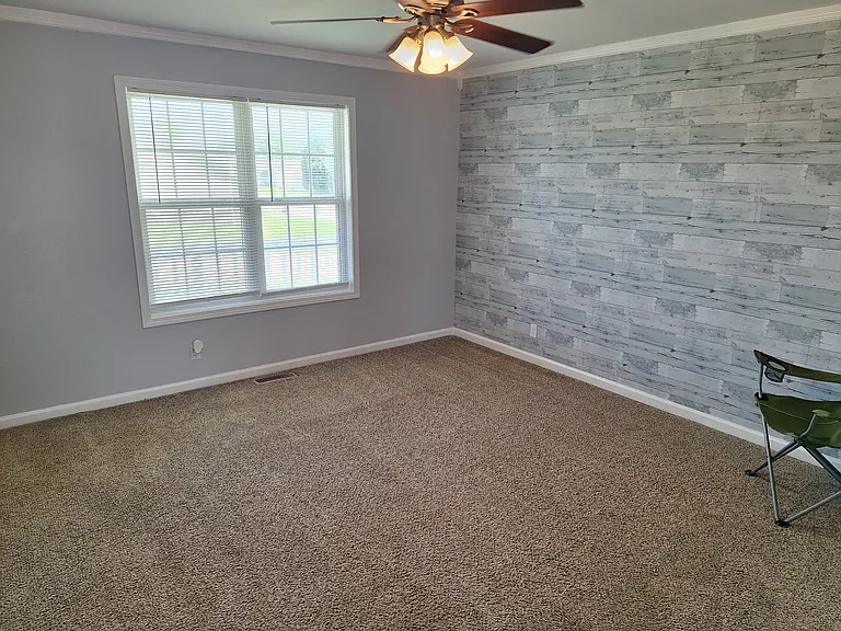 large, bright living room with crown molding, ceiling fan and accent wall.