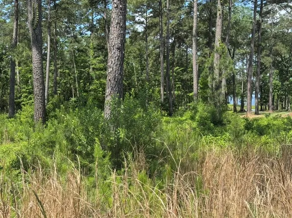 17 Private Road 6028 Lot 17, Brookeland, TX 75931