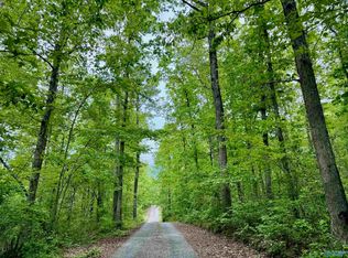 LOT 40 Road 9050, Mentone, AL 35984