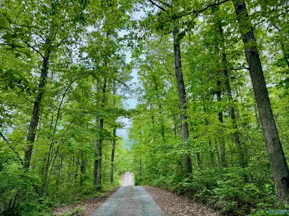 LOT 40 Road 9050, Mentone, AL 35984