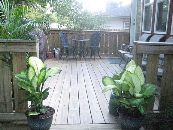 Back deck