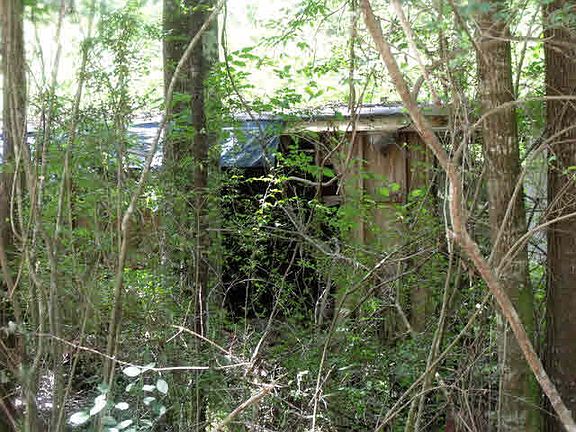5th image of 17311 County Road 9