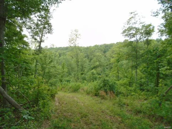 0 County Road 135, Annapolis, MO 63620