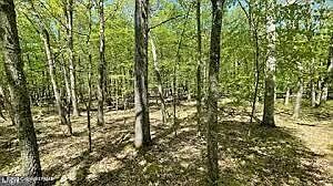 3rd image of Spring Ct