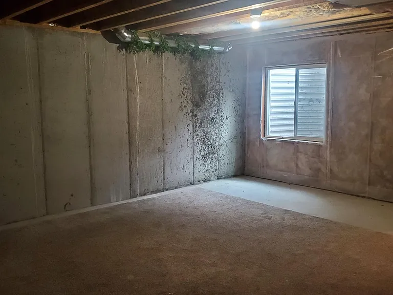 1103 W Emerald Pools Ln — Photo 19