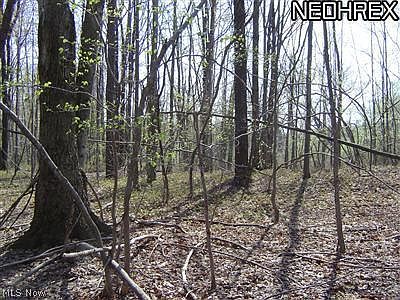 2nd image of Madison Rd