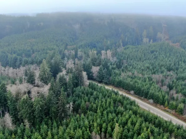 0 M.P. 1 State Route 107, Cosmopolis, WA 98537